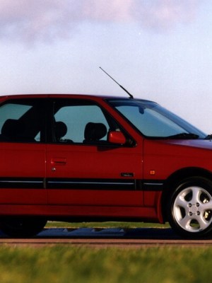 Storia: Peugeot serie speciale Le Mans del&nbsp;1993